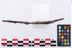 Foto von Eisengürtelhaken (NHMW-PRAE-001406)